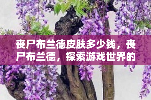 丧尸布兰德皮肤多少钱,丧尸布兰德,探索游戏世界的未知边界 丧尸布兰德皮肤多少钱,丧尸布兰德,探索游戏世界的未知边界