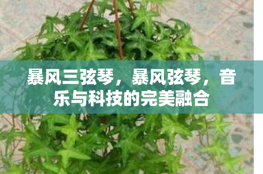 暴风三弦琴,暴风弦琴,音乐与科技的完美融合 暴风三弦琴,暴风弦琴,音乐与科技的完美融合