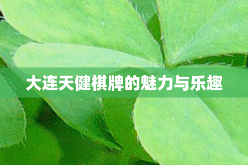 大连天健棋牌的魅力与乐趣 大连天健棋牌的魅力与乐趣