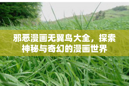 邪恶漫画无翼鸟大全，探索神秘与奇幻的漫画世界