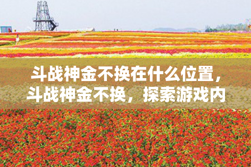 斗战神金不换在什么位置，斗战神金不换，探索游戏内购的奥秘与智慧