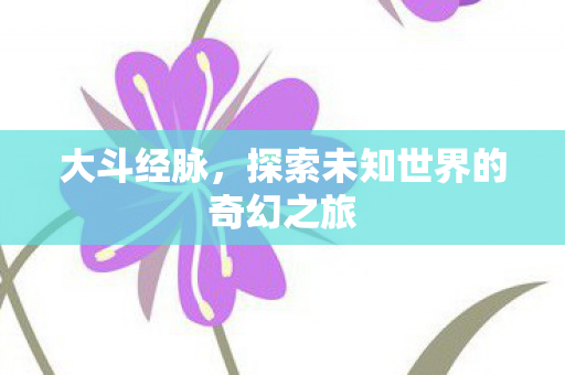 大斗经脉，探索未知世界的奇幻之旅