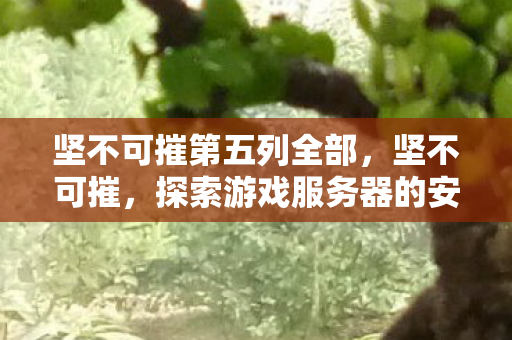 坚不可摧第五列全部，坚不可摧，探索游戏服务器的安全防线与合规运营