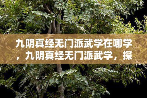 九阴真经无门派武学在哪学，九阴真经无门派武学，探寻江湖中的奥秘