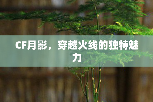 CF月影,穿越火线的独特魅力 CF月影,穿越火线的独特魅力