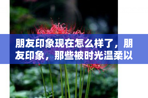 朋友印象现在怎么样了,朋友印象,那些被时光温柔以待的友情 朋友印象现在怎么样了,朋友印象,那些被时光温柔以待的友情