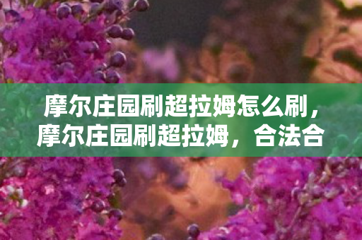 摩尔庄园刷超拉姆怎么刷，摩尔庄园刷超拉姆，合法合规的玩法攻略