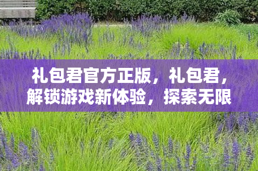 礼包君官方正版，礼包君，解锁游戏新体验，探索无限可能