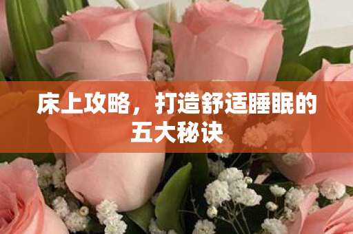 床上攻略,打造舒适睡眠的五大秘诀 床上攻略,打造舒适睡眠的五大秘诀