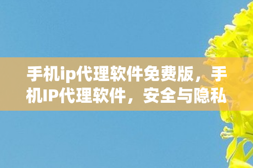 手机ip代理软件免费版，手机IP代理软件，安全与隐私的守护者