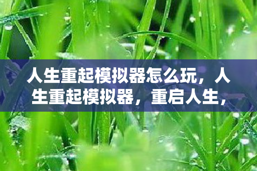 人生重起模拟器怎么玩，人生重起模拟器，重启人生，重塑自我