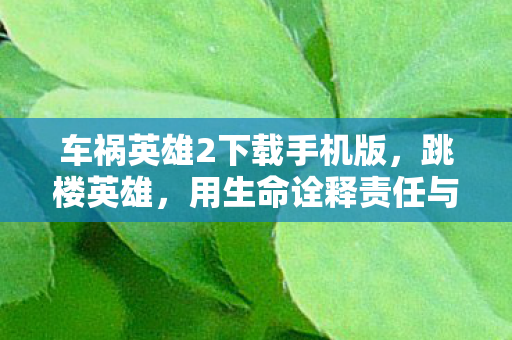 车祸英雄2下载手机版,跳楼英雄,用生命诠释责任与担当 车祸英雄2下载手机版,跳楼英雄,用生命诠释责任与担当
