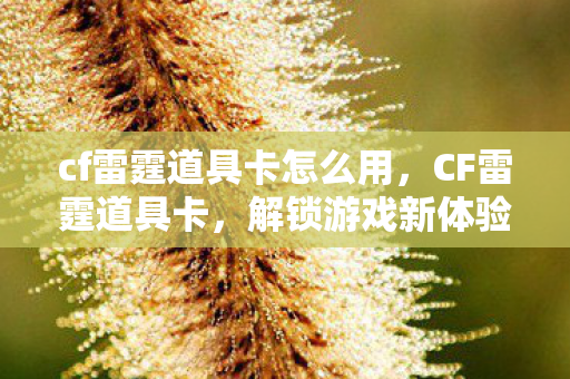 cf雷霆道具卡怎么用，CF雷霆道具卡，解锁游戏新体验