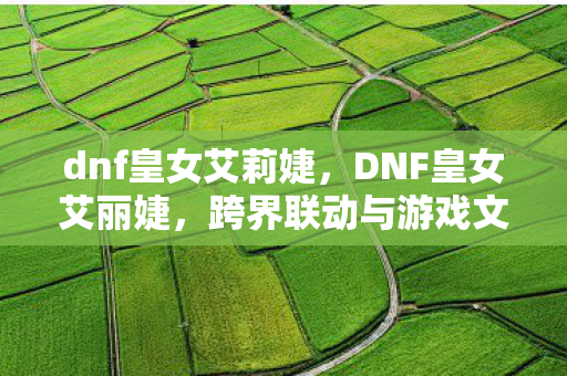 dnf皇女艾莉婕，DNF皇女艾丽婕，跨界联动与游戏文化的深度探索