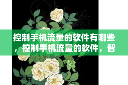 控制手机流量的软件有哪些,控制手机流量的软件,智能管理,高效节流 控制手机流量的软件有哪些,控制手机流量的软件,智能管理,高效节流