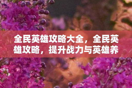 全民英雄攻略大全,全民英雄攻略,提升战力与英雄养成指南 全民英雄攻略大全,全民英雄攻略,提升战力与英雄养成指南