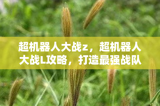 超机器人大战z,超机器人大战L攻略,打造最强战队的全面指南 超机器人大战z,超机器人大战L攻略,打造最强战队的全面指南