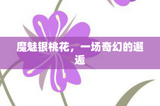 魔魅银桃花,一场奇幻的邂逅 魔魅银桃花,一场奇幻的邂逅