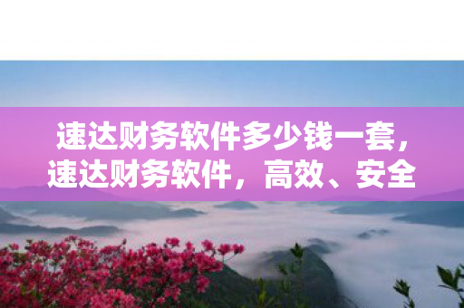速达财务软件多少钱一套,速达财务软件,高效、安全、易用的财务管理工具 速达财务软件多少钱一套,速达财务软件,高效、安全、易用的财务管理工具