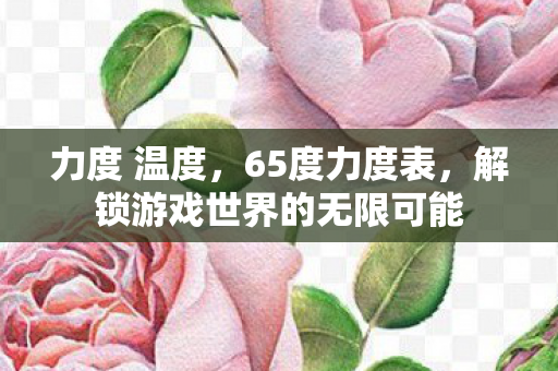 力度 温度，65度力度表，解锁游戏世界的无限可能