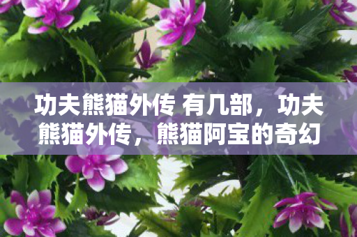 功夫熊猫外传 有几部,功夫熊猫外传,熊猫阿宝的奇幻旅程 功夫熊猫外传 有几部,功夫熊猫外传,熊猫阿宝的奇幻旅程