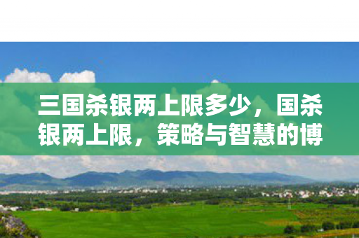 三国杀银两上限多少,国杀银两上限,策略与智慧的博弈 三国杀银两上限多少,国杀银两上限,策略与智慧的博弈