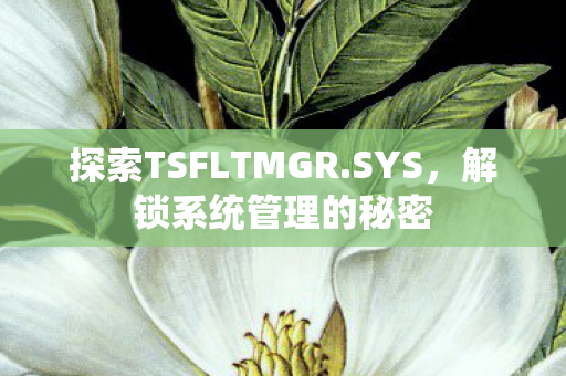 探索TSFLTMGR.SYS,解锁系统管理的秘密 探索TSFLTMGR.SYS,解锁系统管理的秘密