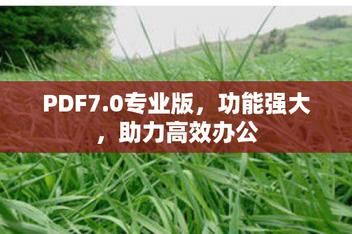 PDF7.0专业版,功能强大,助力高效办公 PDF7.0专业版,功能强大,助力高效办公