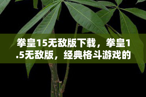 拳皇15无敌版下载,拳皇1.5无敌版,经典格斗游戏的极致体验 拳皇15无敌版下载,拳皇1.5无敌版,经典格斗游戏的极致体验