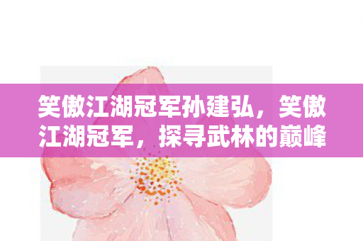 笑傲江湖冠军孙建弘,笑傲江湖冠军,探寻武林的巅峰之路 笑傲江湖冠军孙建弘,笑傲江湖冠军,探寻武林的巅峰之路