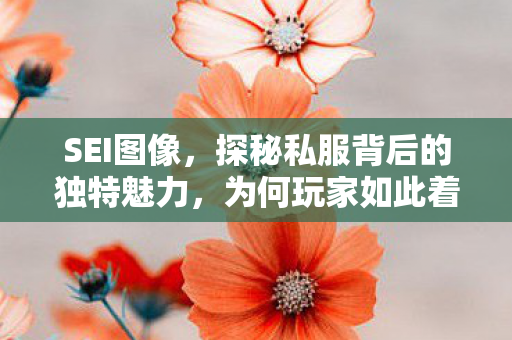 SEI图像,探秘私服背后的独特魅力,为何玩家如此着迷? SEI图像,探秘私服背后的独特魅力,为何玩家如此着迷?