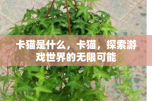 卡猫是什么,卡猫,探索游戏世界的无限可能 卡猫是什么,卡猫,探索游戏世界的无限可能