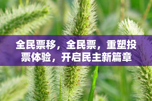 全民票移,全民票,重塑投票体验,开启民主新篇章 全民票移,全民票,重塑投票体验,开启民主新篇章