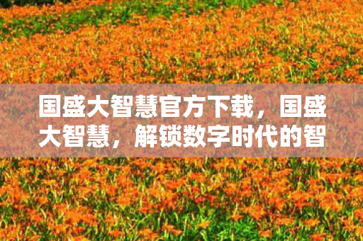国盛大智慧官方下载，国盛大智慧，解锁数字时代的智慧密码