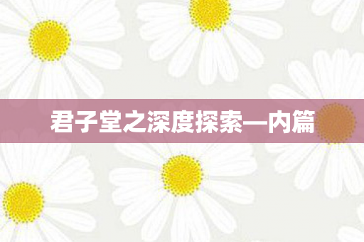 君子堂之深度探索—内篇 君子堂之深度探索—内篇