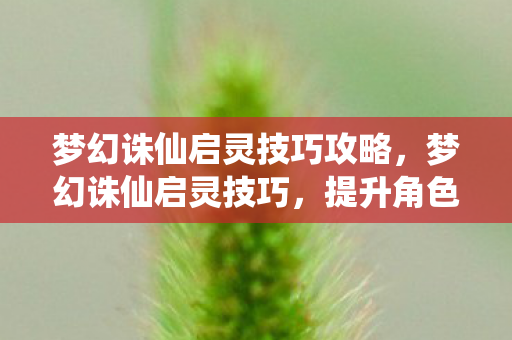 梦幻诛仙启灵技巧攻略,梦幻诛仙启灵技巧,提升角色战斗力的关键步骤 梦幻诛仙启灵技巧攻略,梦幻诛仙启灵技巧,提升角色战斗力的关键步骤