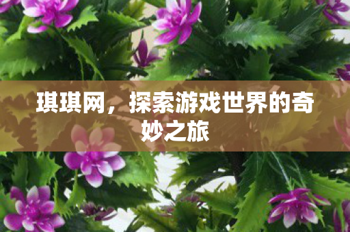 琪琪网,探索游戏世界的奇妙之旅 琪琪网,探索游戏世界的奇妙之旅