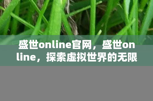 盛世online官网,盛世online,探索虚拟世界的无限可能 盛世online官网,盛世online,探索虚拟世界的无限可能