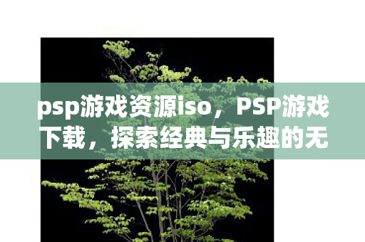 psp游戏资源iso,PSP游戏下载,探索经典与乐趣的无限可能 psp游戏资源iso,PSP游戏下载,探索经典与乐趣的无限可能