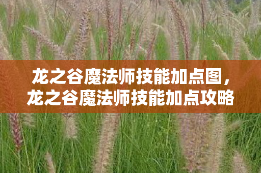 龙之谷魔法师技能加点图，龙之谷魔法师技能加点攻略