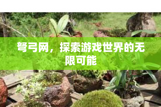弩弓网,探索游戏世界的无限可能 弩弓网,探索游戏世界的无限可能