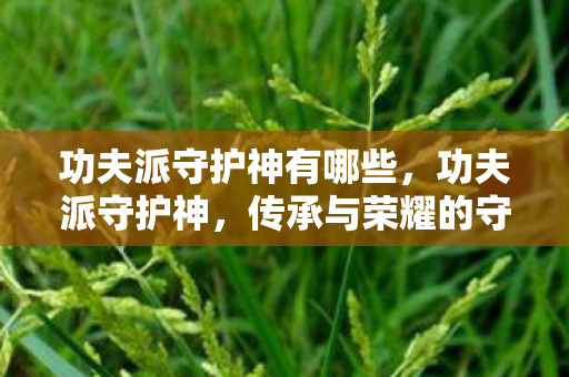 功夫派守护神有哪些，功夫派守护神，传承与荣耀的守护者