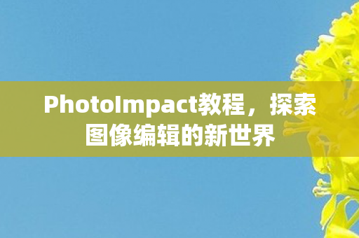 PhotoImpact教程,探索图像编辑的新世界 PhotoImpact教程,探索图像编辑的新世界