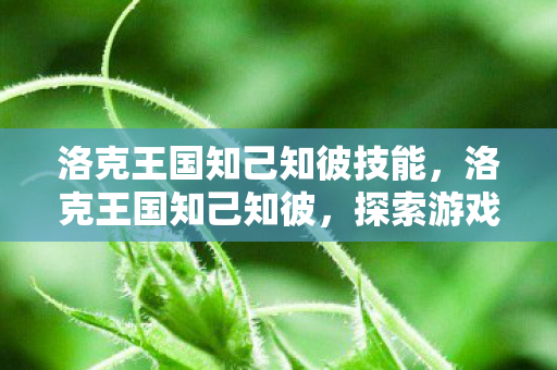 洛克王国知己知彼技能，洛克王国知己知彼，探索游戏策略与社交互动的深度解析