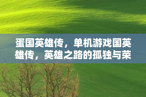 蛋国英雄传,单机游戏国英雄传,英雄之路的孤独与荣耀 蛋国英雄传,单机游戏国英雄传,英雄之路的孤独与荣耀