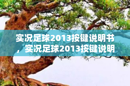 实况足球2013按键说明书，实况足球2013按键说明