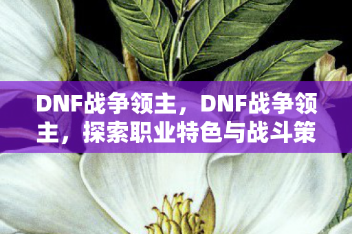 DNF战争领主，DNF战争领主，探索职业特色与战斗策略
