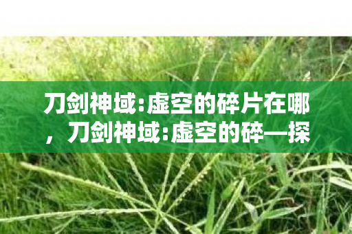 刀剑神域:虚空的碎片在哪，刀剑神域:虚空的碎—探索虚拟世界的无限可能