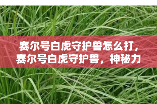 赛尔号白虎守护兽怎么打,赛尔号白虎守护兽,神秘力量与传奇故事 赛尔号白虎守护兽怎么打,赛尔号白虎守护兽,神秘力量与传奇故事