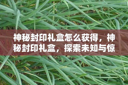 神秘封印礼盒怎么获得,神秘封印礼盒,探索未知与惊喜的奇妙之旅 神秘封印礼盒怎么获得,神秘封印礼盒,探索未知与惊喜的奇妙之旅